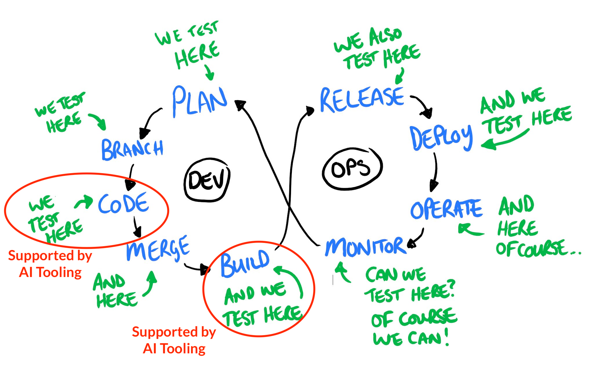 A devops model that shows the flow of plan, branch, code, merge, build, release, deploy, operate and monitor and back to plan. Each section is labelled that we test here and the code and build sections are highlighted to show an AI focus on these phases.